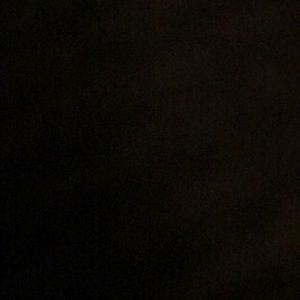 Meet your Posher, Bennett